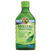 Moller's Cod Liver Oil Apple Αυθεντικό Μουρουνέλαιο με Γεύση Μήλο, 250ml