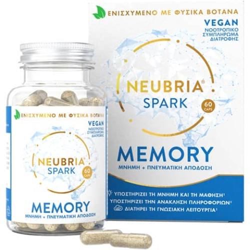 neubria-spark-memory.jpg
